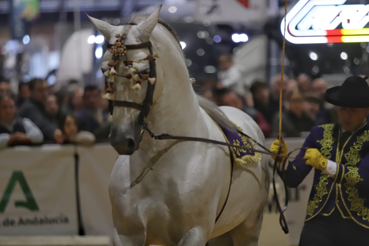 Así ha sido el cuarto día de Sicab en Sevilla: desde cocina en directo hasta demostración de trenzado para competición