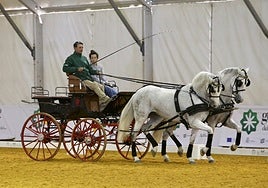 En imágenes: ambiente en el tercer día de Sicab en Fibes