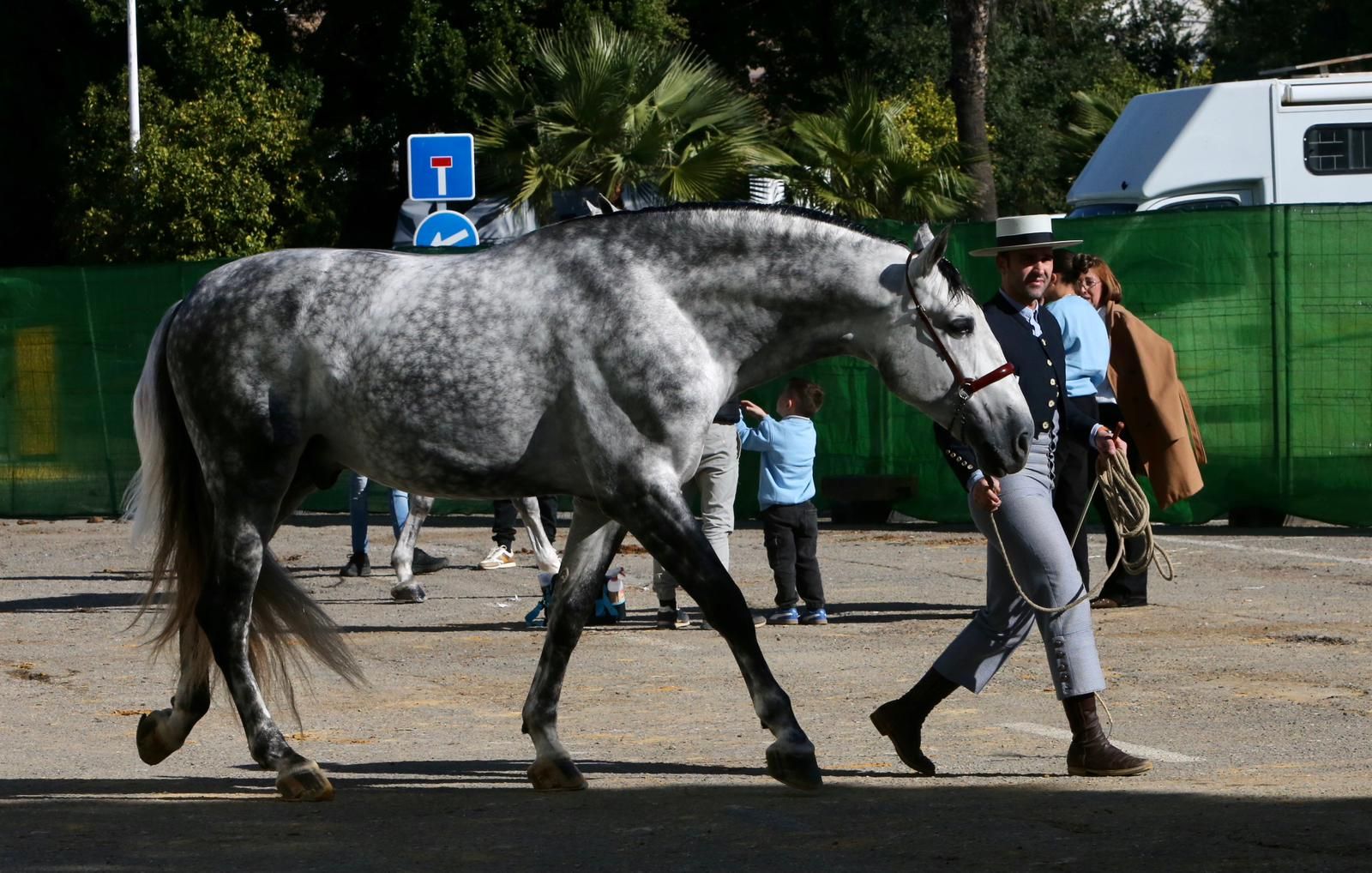 En imágenes: ambiente en el tercer día de Sicab en Fibes