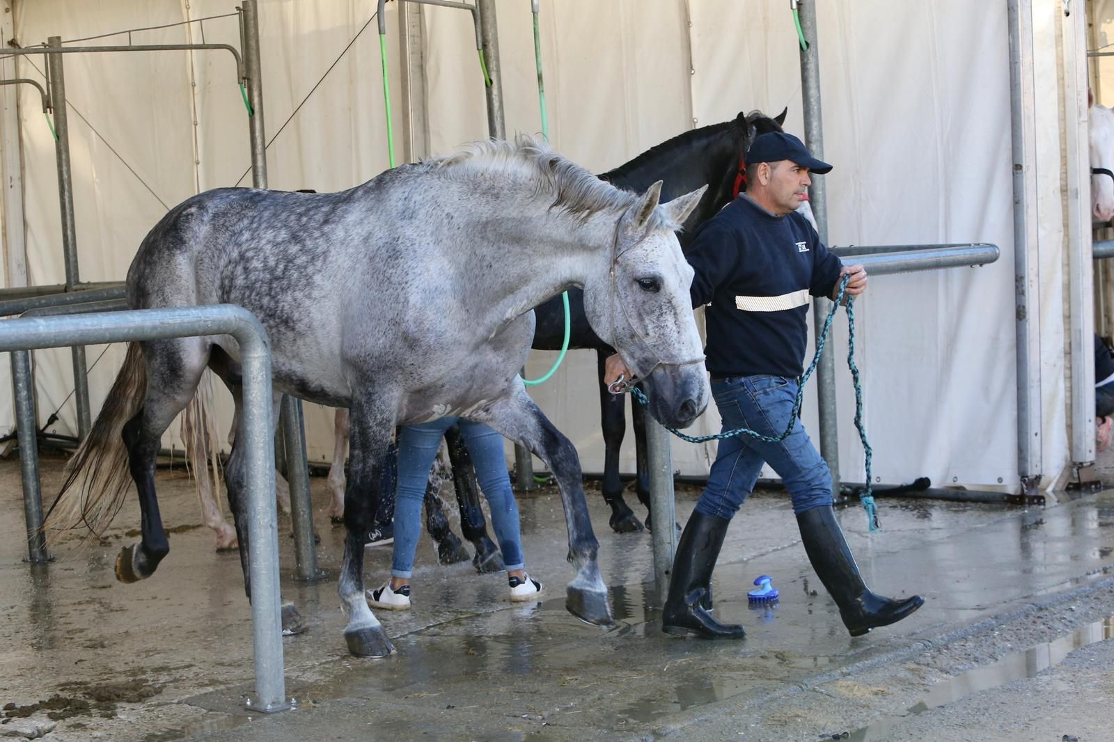En imágenes: ambiente en el tercer día de Sicab en Fibes
