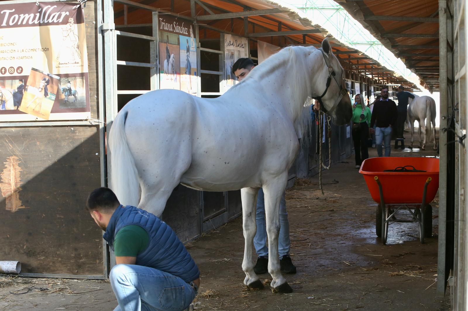 En imágenes: ambiente en el tercer día de Sicab en Fibes