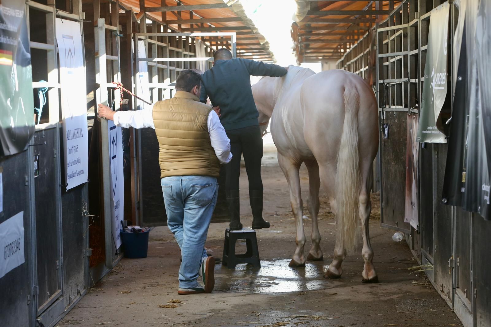 En imágenes: ambiente en el tercer día de Sicab en Fibes