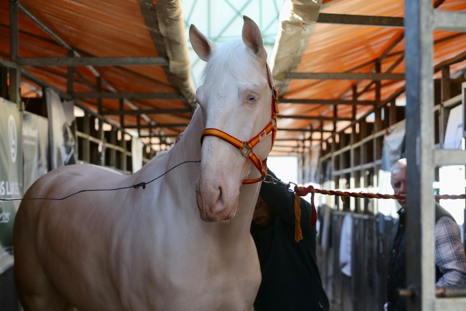 En imágenes: ambiente en el tercer día de Sicab en Fibes