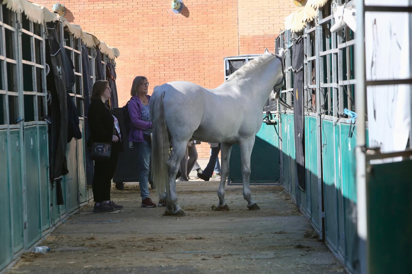 En imágenes: ambiente en el tercer día de Sicab en Fibes