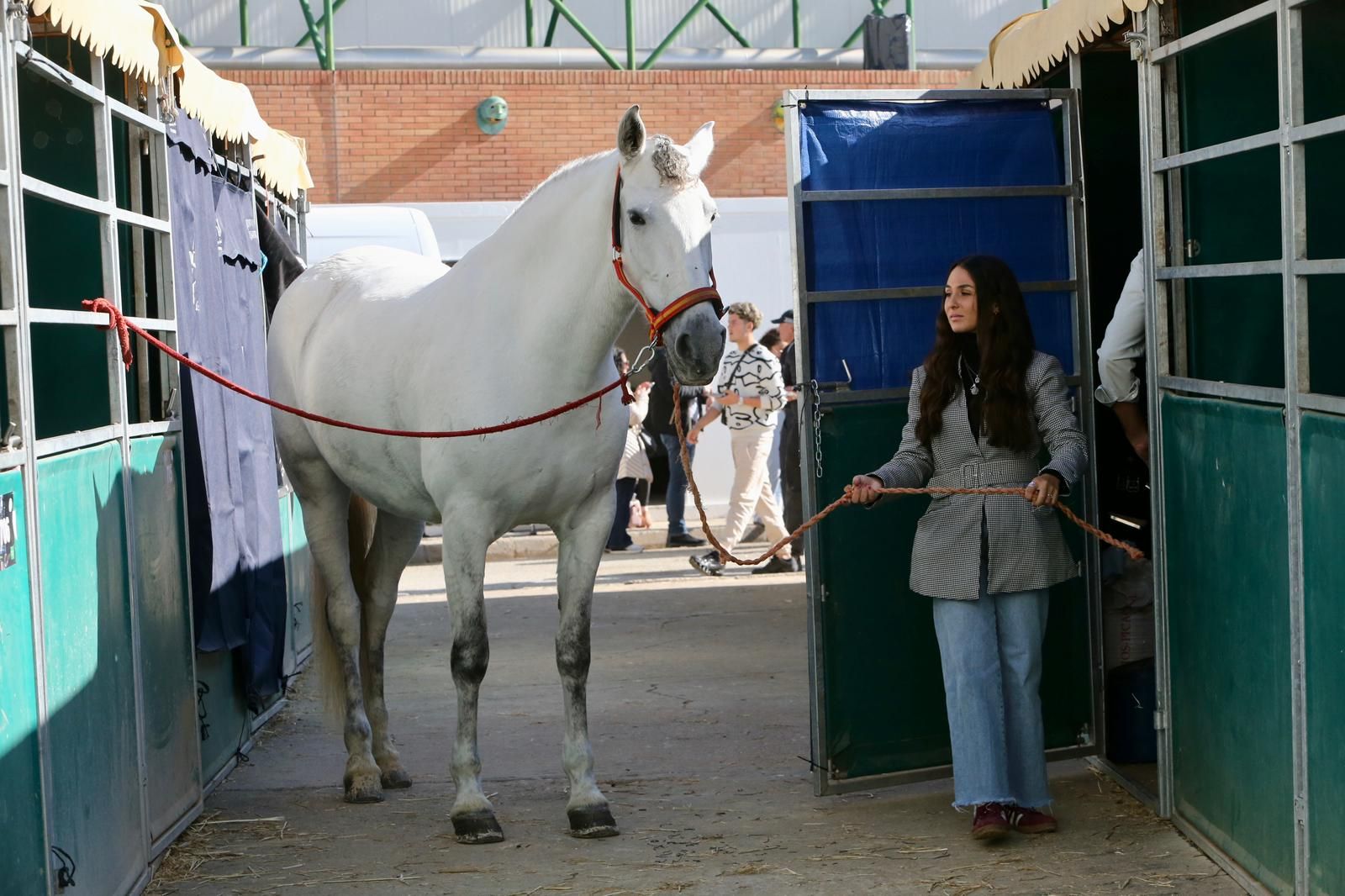 En imágenes: ambiente en el tercer día de Sicab en Fibes