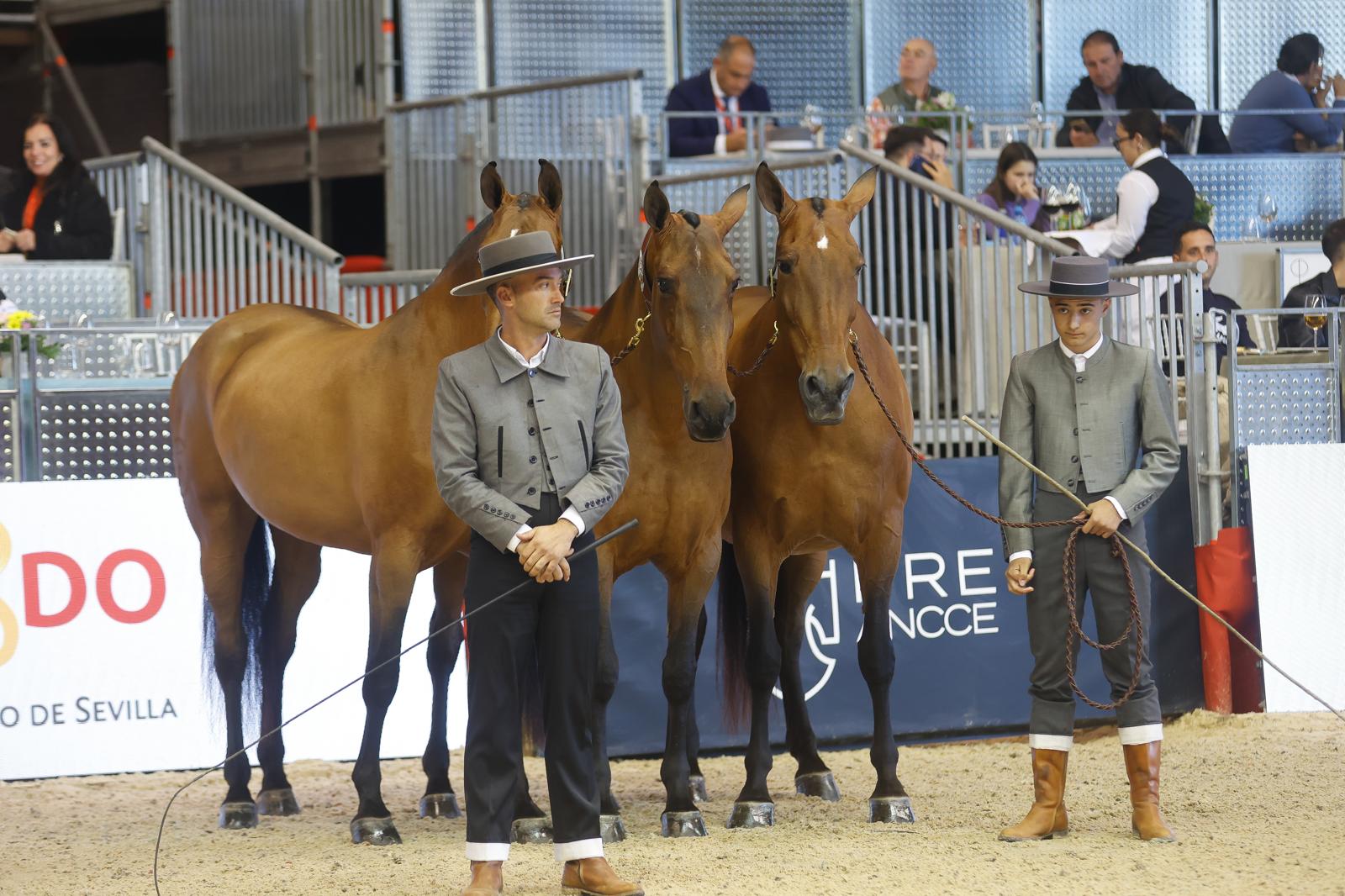 Penúltima jornada de Sicab en Sevilla: desde un campus de herraje hasta la visita de Juanma Moreno