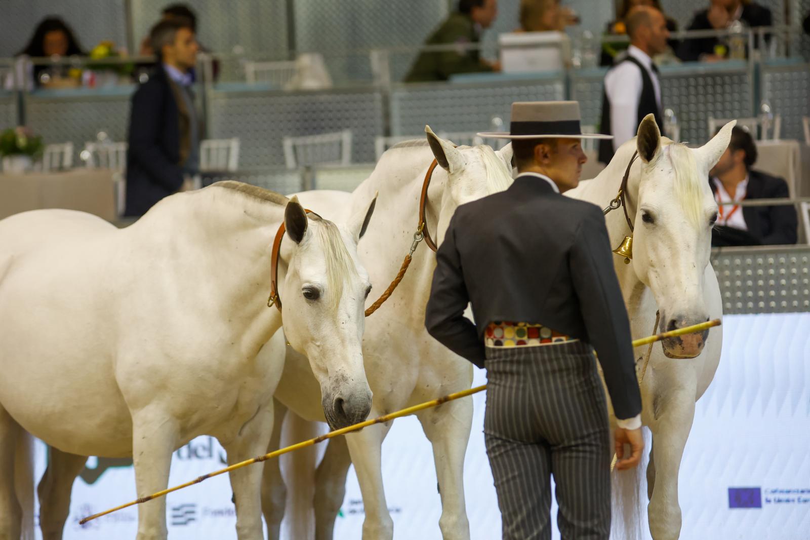 Penúltima jornada de Sicab en Sevilla: desde un campus de herraje hasta la visita de Juanma Moreno