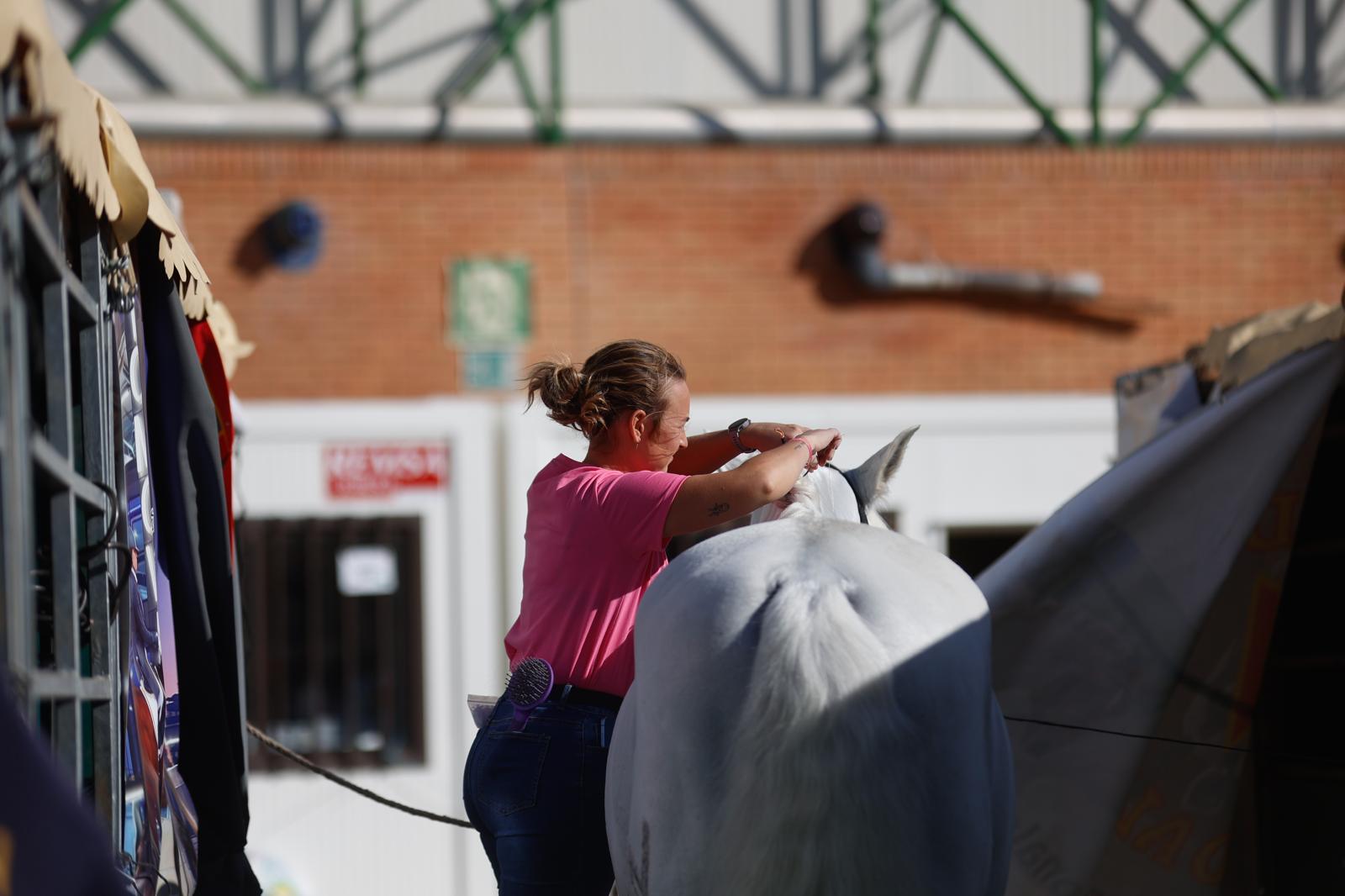 Penúltima jornada de Sicab en Sevilla: desde un campus de herraje hasta la visita de Juanma Moreno