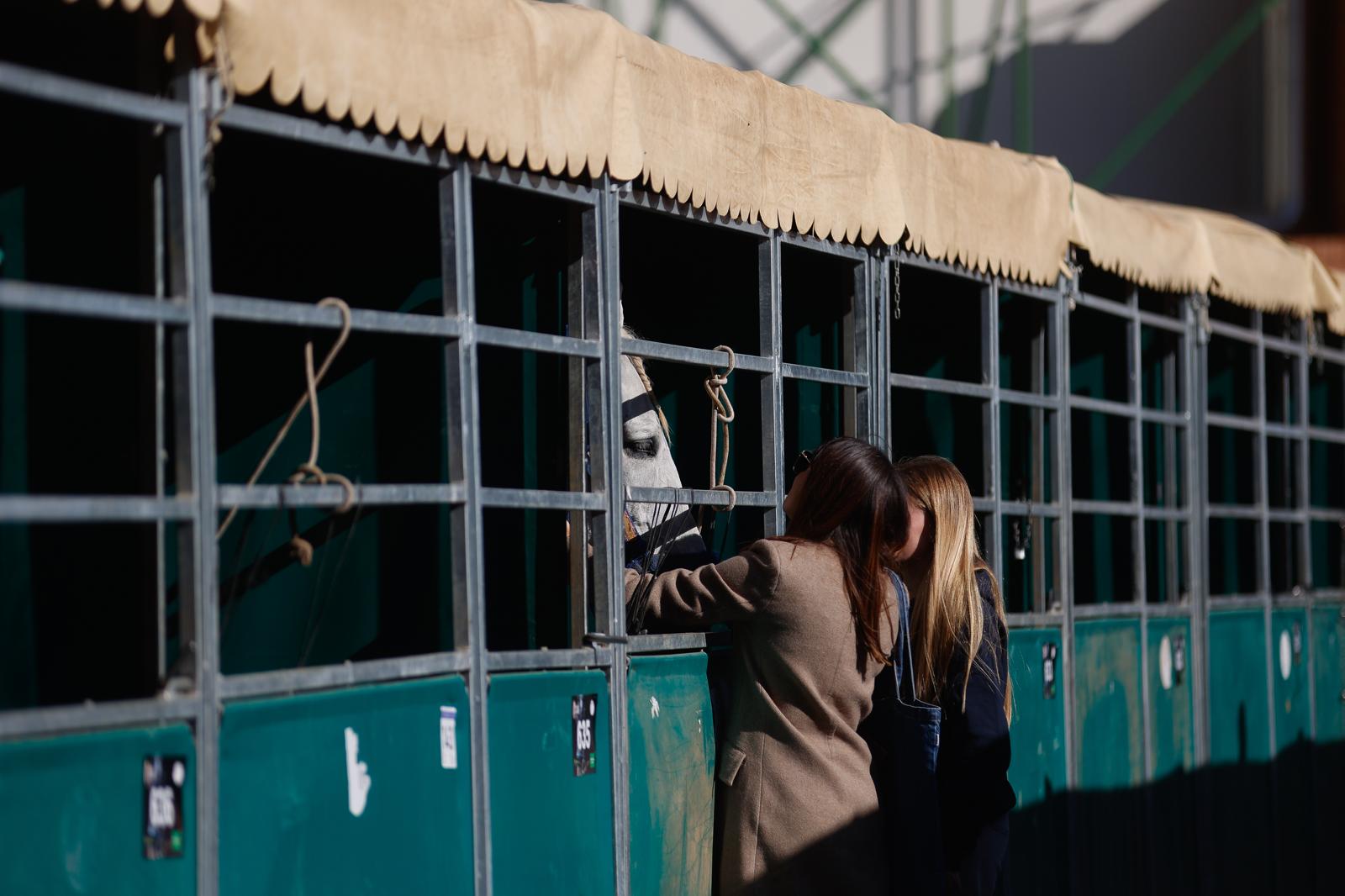 Penúltima jornada de Sicab en Sevilla: desde un campus de herraje hasta la visita de Juanma Moreno