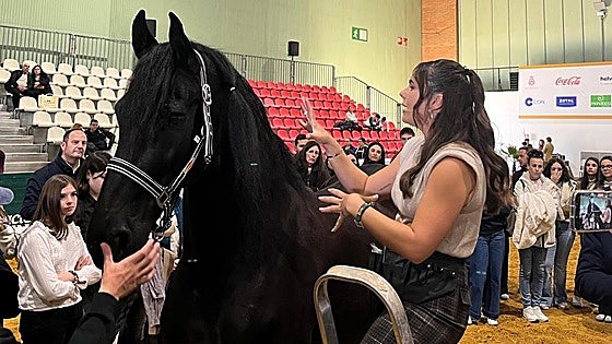 Míriam Luque, la influencer que trenza caballos y revoluciona Sicab