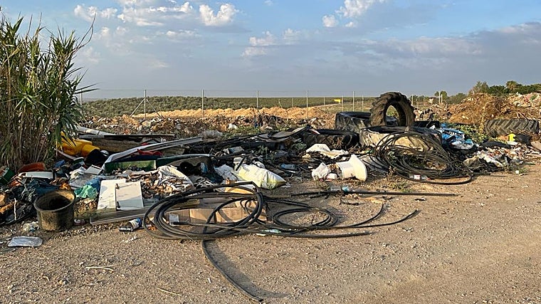 Image of the illegal slaughterhouse located in the Mataburras area of ​​Utrera and reported by this association