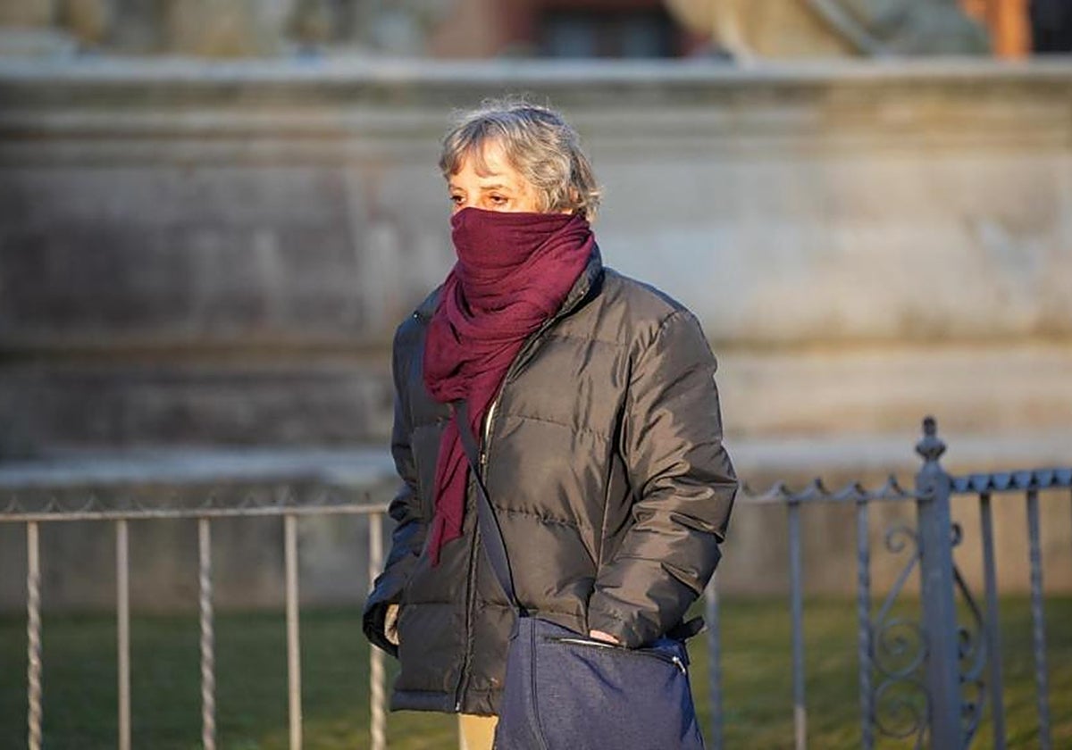 Una mujer pasea abrigada junto a la Puerta de Jerez, durante un día de mucho frío en Sevilla
