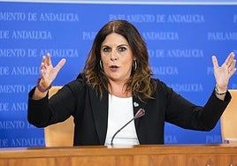 El PSOE espera que se sepa «toda la verdad» sobre Francisco Salazar