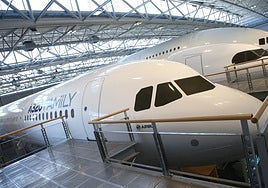 Airbus señala a la pyme sevillana Sofitec como origen de uno de los fallos del A320