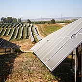El hub fotovoltaico de Total Energy en Guillena