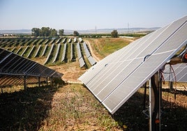 El hub fotovoltaico de Total Energy en Guillena