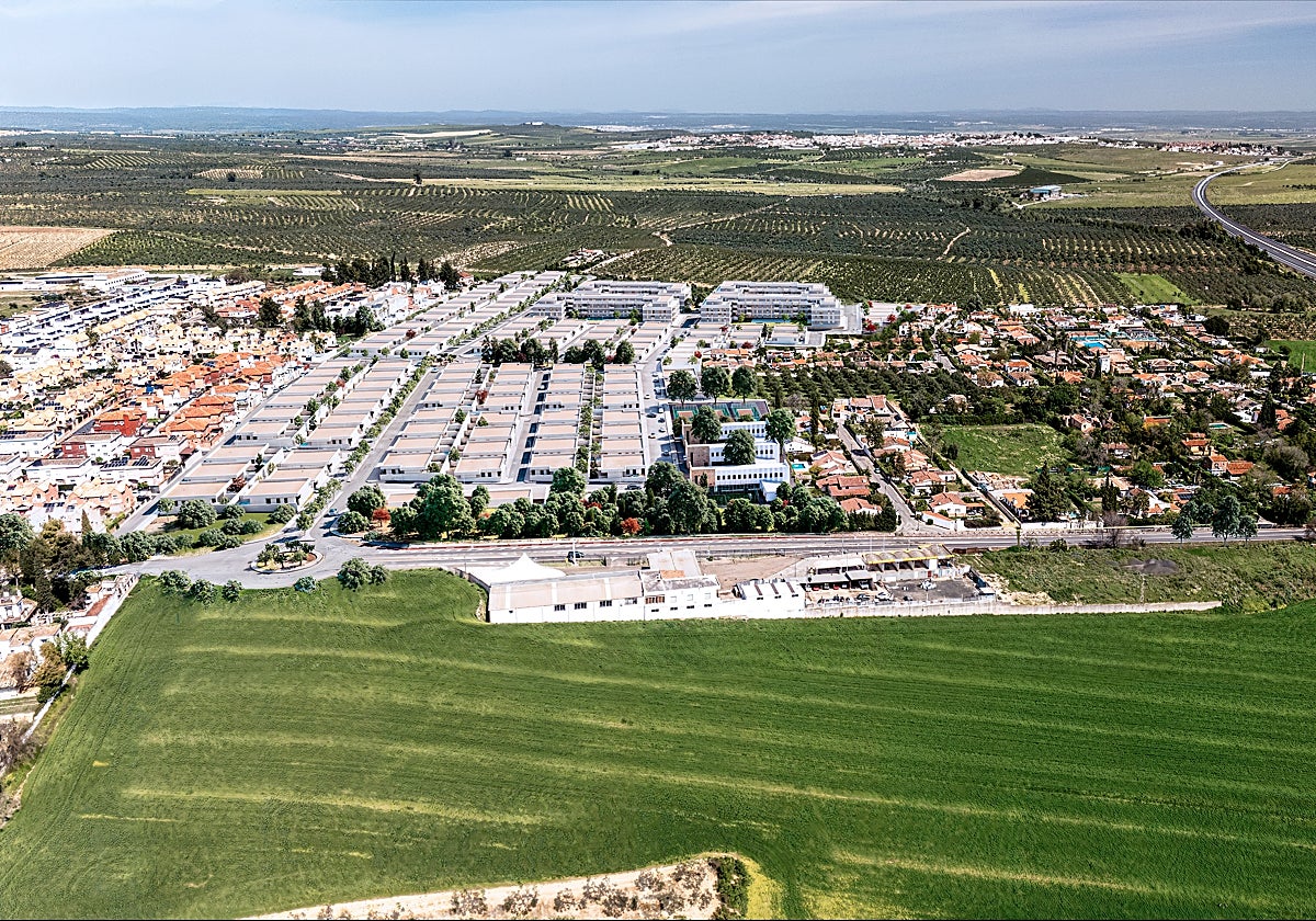 Recreación de las viviendas de ILH sobre el terreno real en el municipio sevillano de Espartinas
