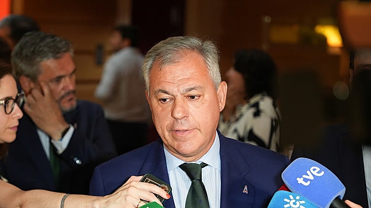 José Luis Sanz aboga por que una entidad hispalense asuma Torre Sevilla