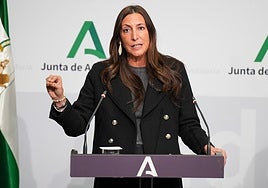 La consejera de Igualdad de la Junta se suma a la campaña de la izquierda contra la presentación el libro de Soto Ivars en una biblioteca pública de Sevilla