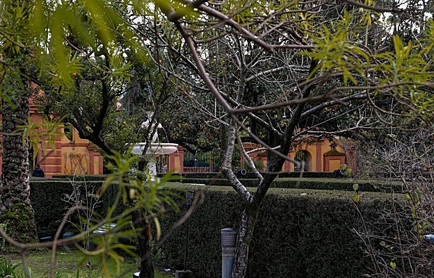 Image after - 'Orange tree, garden of the Alcazar of Seville'