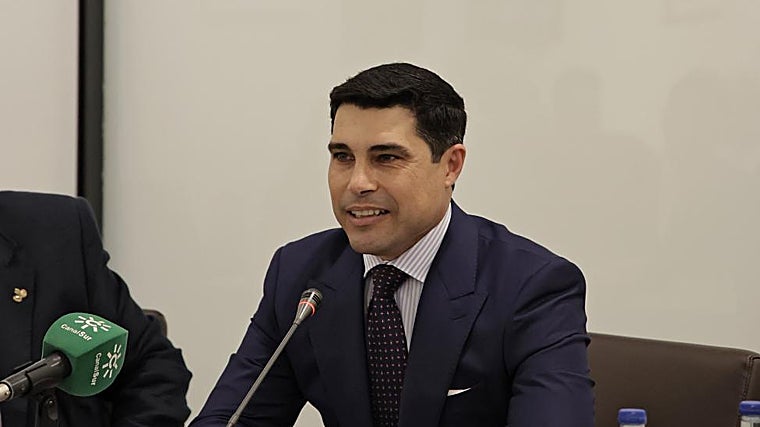 Doze sinos das confrarias de Sevilha em 2026