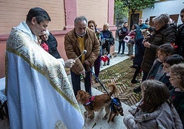 Estas son las iglesias de Sevilla donde puedes llevar a tus mascotas para recibir la bendición por el día de San Antonio Abad