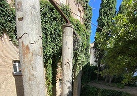 ¿Qué son las columnas romanas de la sevillana calle Mármoles?