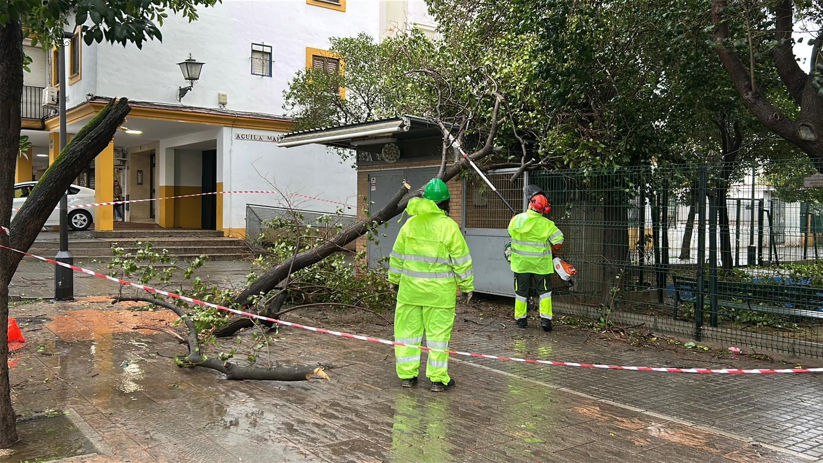 Aemet aumenta la alerta a naranja por viento en Sevilla este miércoles:  estas serán las peores horas