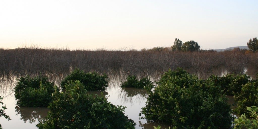 BBVA habilita un plan de ayuda para los afectados por las recientes inundaciones en Andalucía