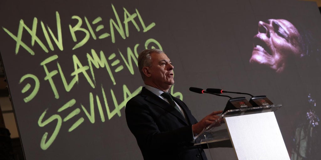 Sanz, sobre el nuevo retraso en el puente del Centenario: «El PSOE ha usado esta obra para otros fines, no pensando en los sevillanos»