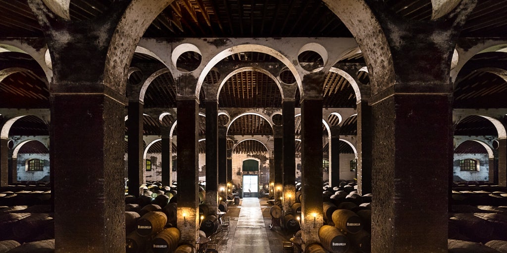 Bodegas Barbadillo se alía con Water Challenge para reducir el uso de agua en el vino