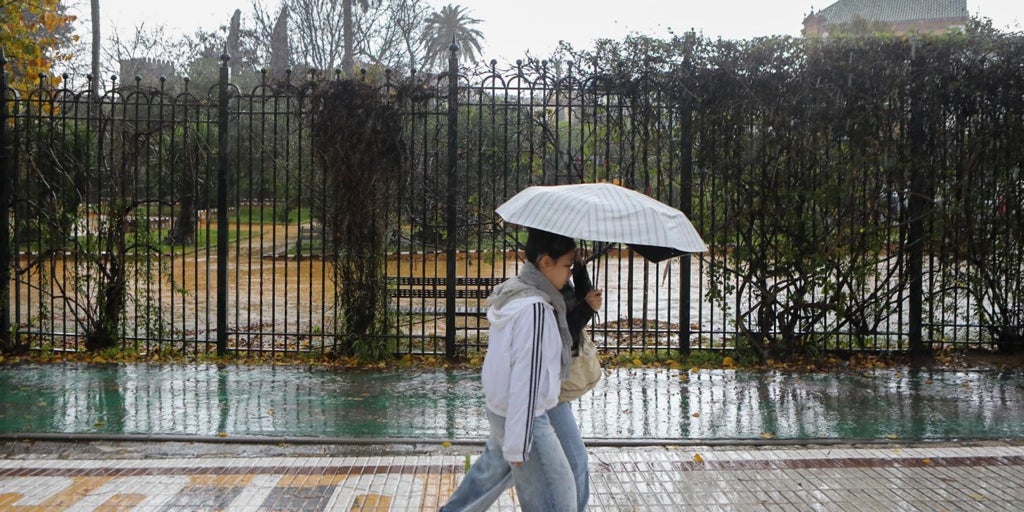 El aviso amarillo por fuertes vientos cierra los parques e instalaciones deportivas de Sevilla este viernes