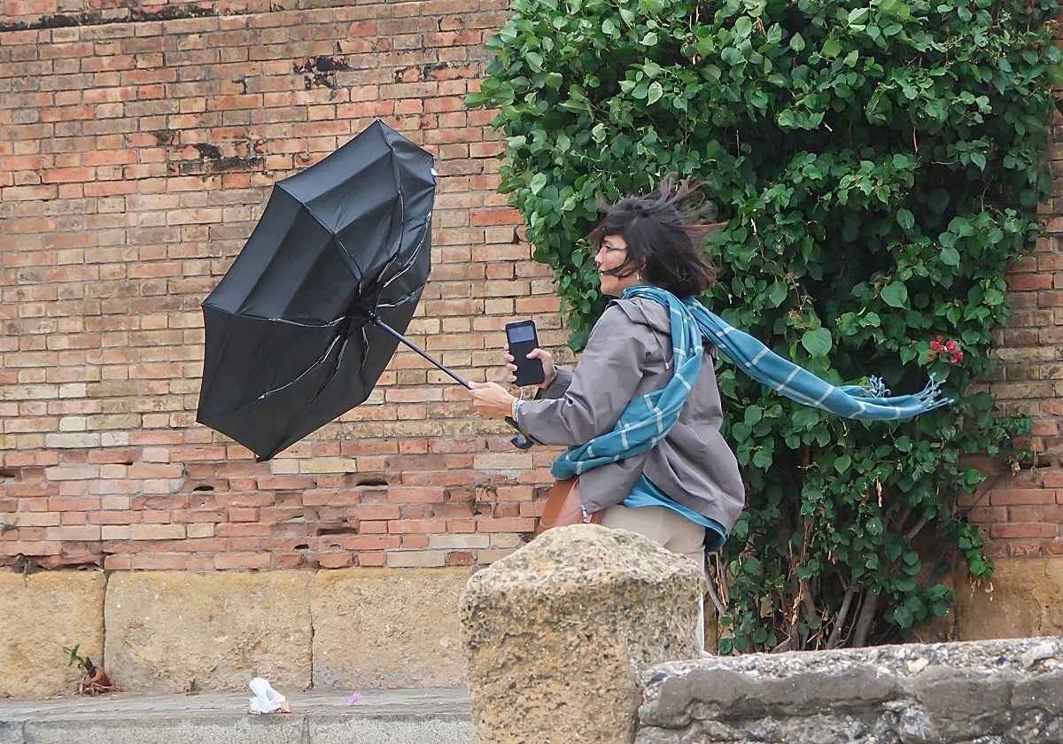El inicio de la Semana Santa en Sevilla: se esperan chubascos matinales para el Viernes de Dolores