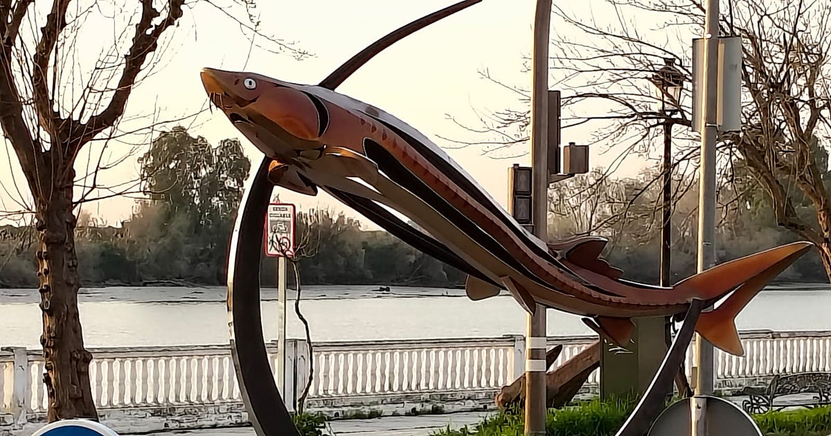 Coria homenajea al esturión con una escultura de acero junto al río