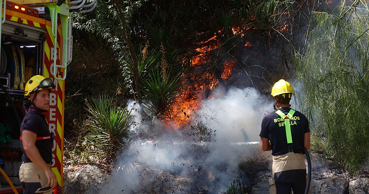 Registrado un incendio junto al Auditorio de la Cartuja de Sevilla, el segundo esta semana