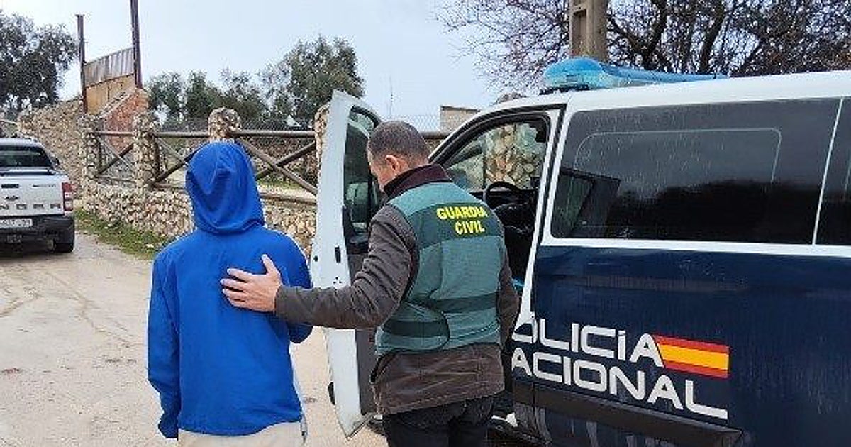 Dos detenidos por tener a trabajadores de forma irregular recogiendo aceitunas en la Sierra Sur de Sevilla