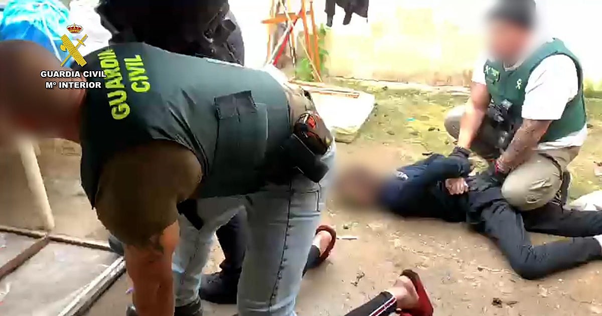 Doce detenidos de una red de venta de heroína en el Aljarafe que obligaba a los consumidores a robar para pagar