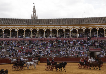 Exhibición de Enganches de la Feria de Sevilla 2026: horarios, precios y entradas