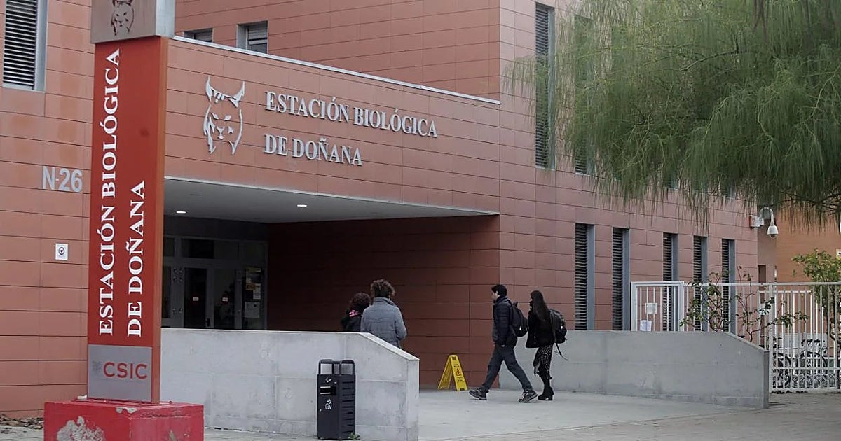 La Audiencia descarta facturas falsas en la Estación Biológica de Doñana y cierra el caso