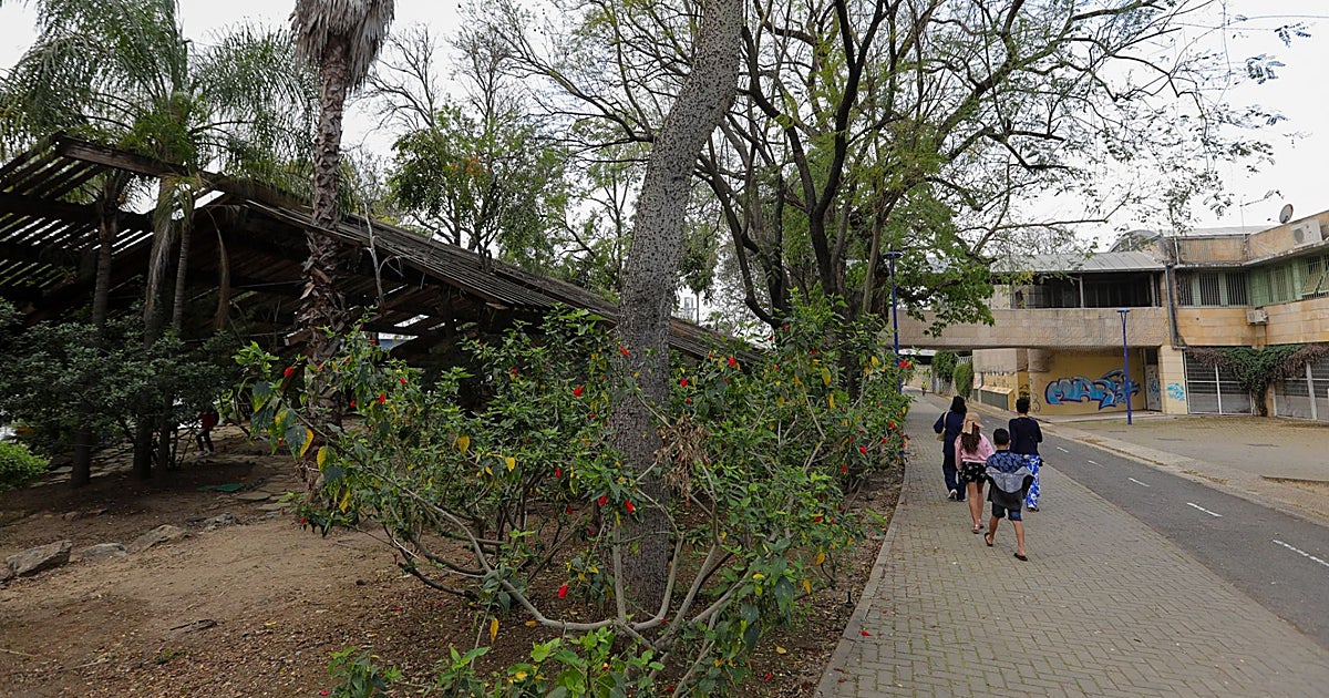 El Ayuntamiento inicia la transformación de los dos grandes jardines de la Expo 92 de Sevilla