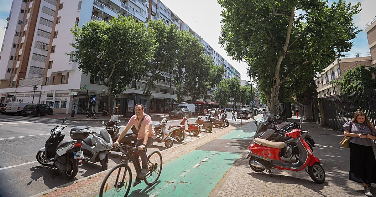 La reurbanización de Reina Mercedes dejará un solo carril de circulación para cada sentido