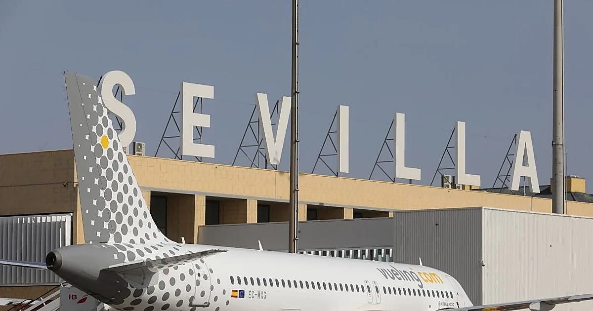 El Gobierno da luz verde a que el aeropuerto de Sevilla pase a llamarse Diego Velázquez
