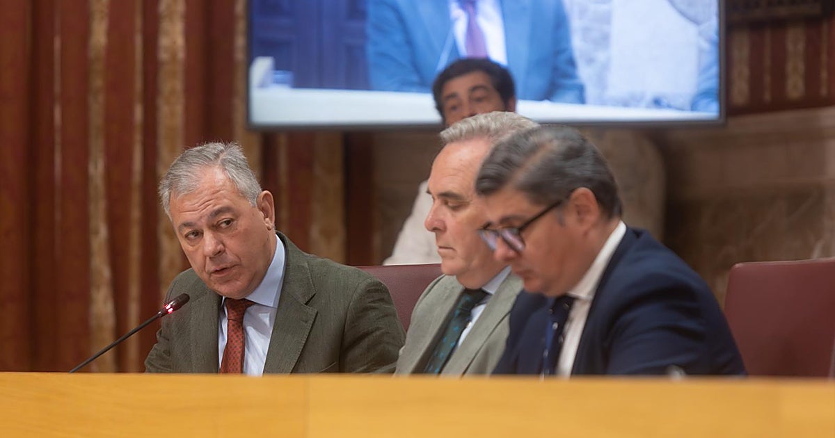 El Pleno monográfico sobre la vivienda en Sevilla será el 29 de mayo