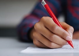 Guadalupe Majúa, pedagoga: «Ir al supermercado ayuda a reforzar más las matemáticas que una ficha interminable»