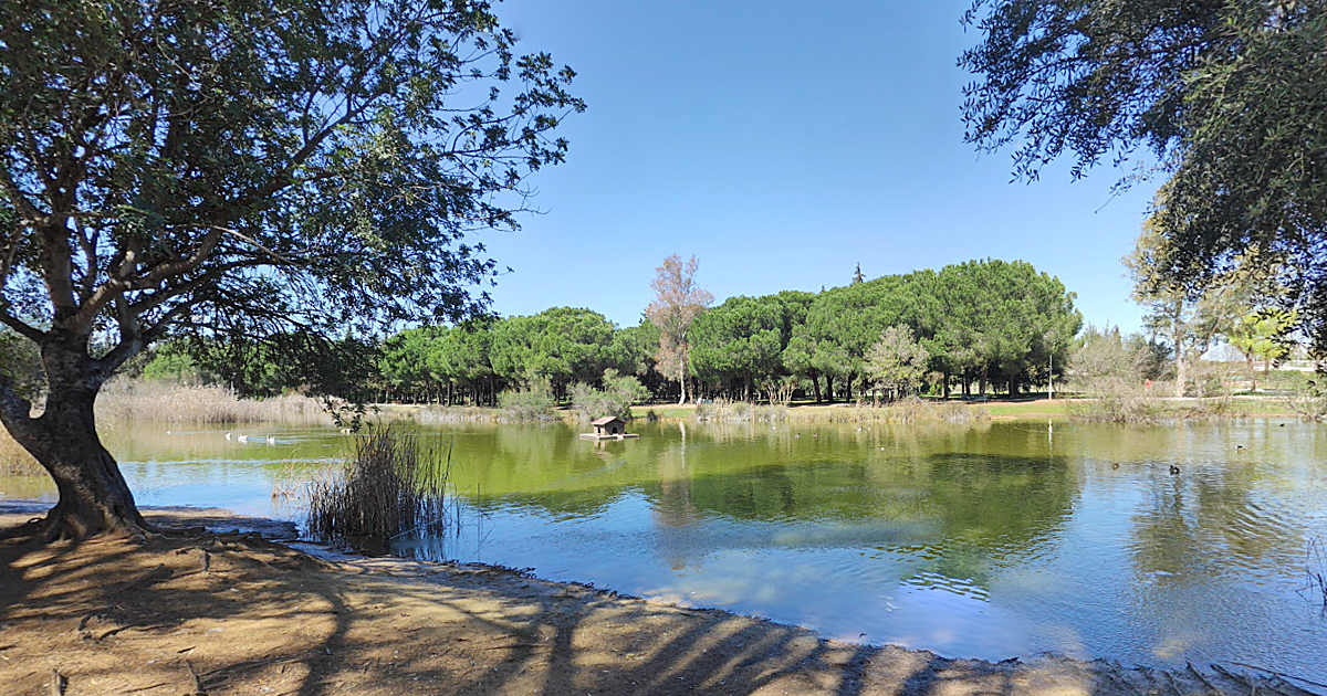 Los diez barrios de Sevilla donde el Ayuntamiento actuará con «prioridad» contra el virus del Nilo