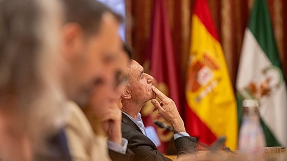 El PSOE intenta bloquear la construcción de más de 1.300 viviendas en Sevilla