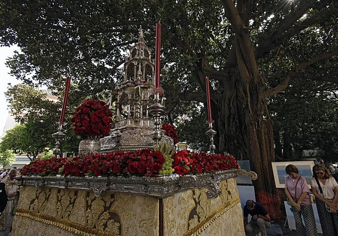 Preservación del Santo Cuerpo de la Magdalena a su paso por la Plaza de los Museos