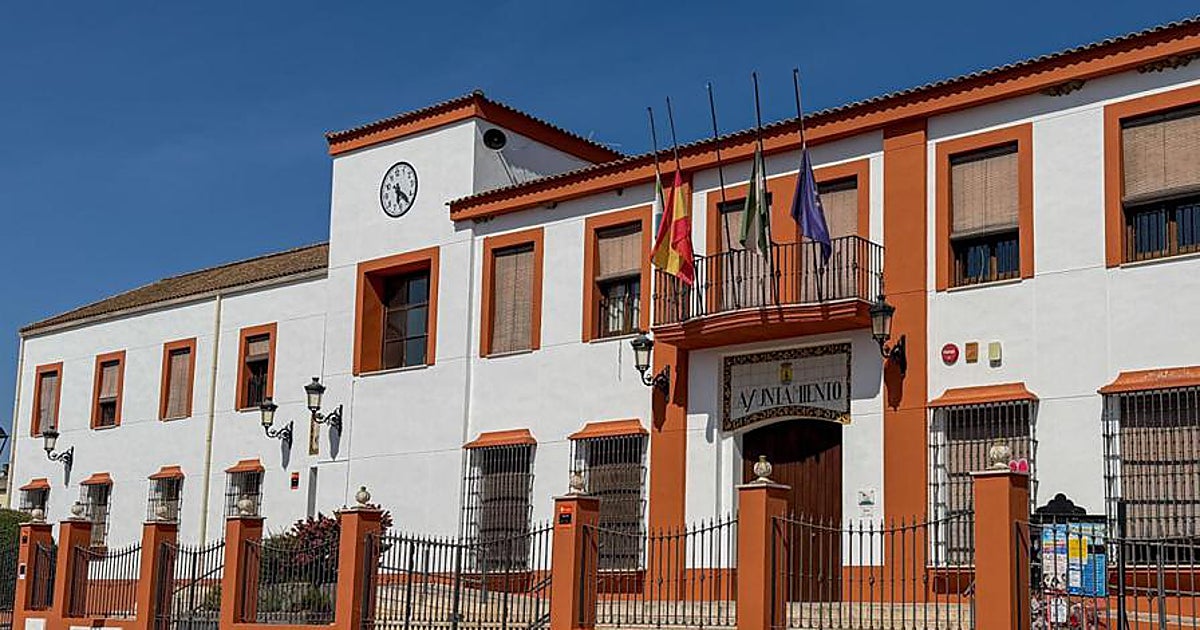 El menor de Gelves murió electrocutado al quitar u
