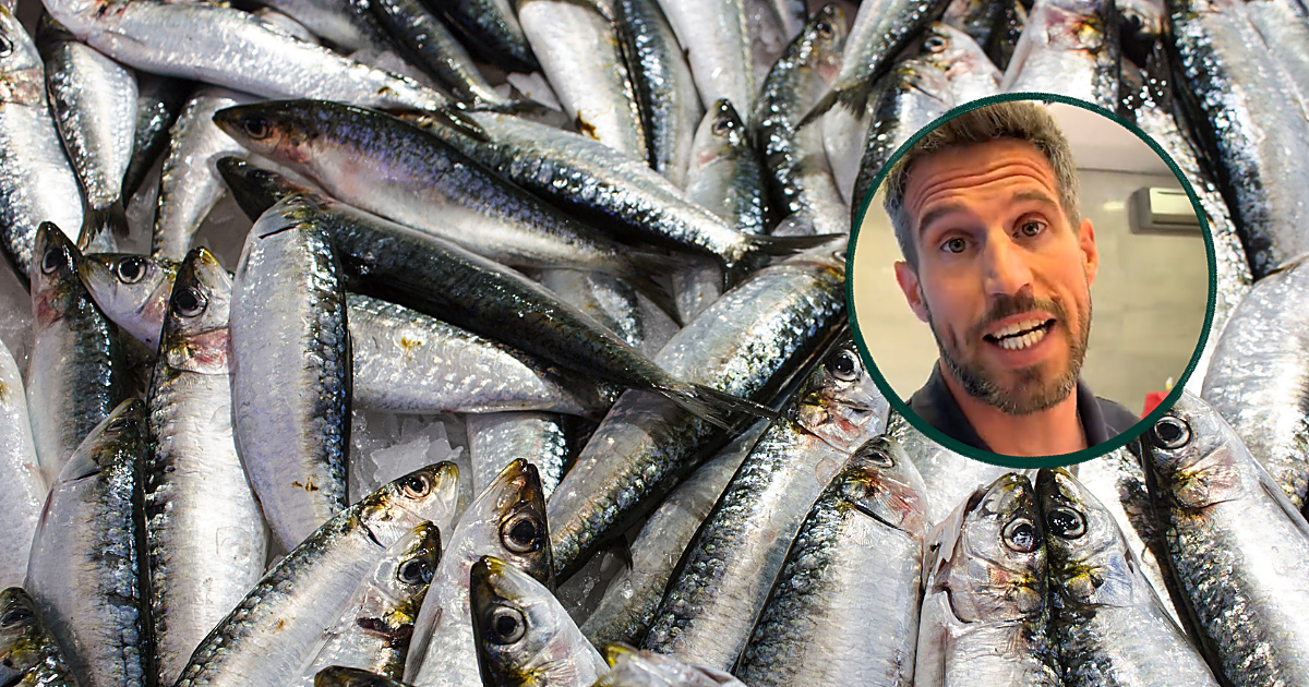 José María, pescadero: «Las sardinas en julio están mejor po