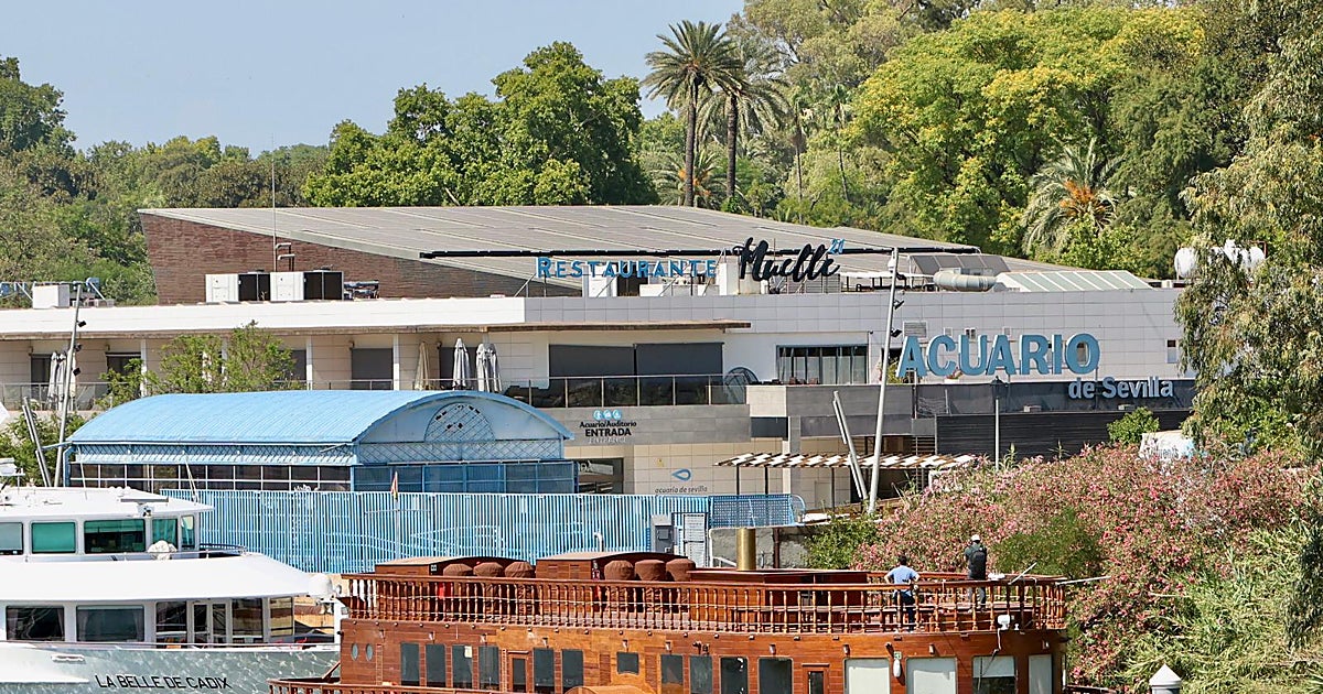 Atraca en el Puerto de Sevilla la réplica del primer barco d